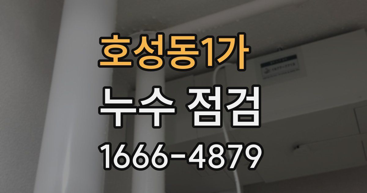 호성동1가 누수 점검