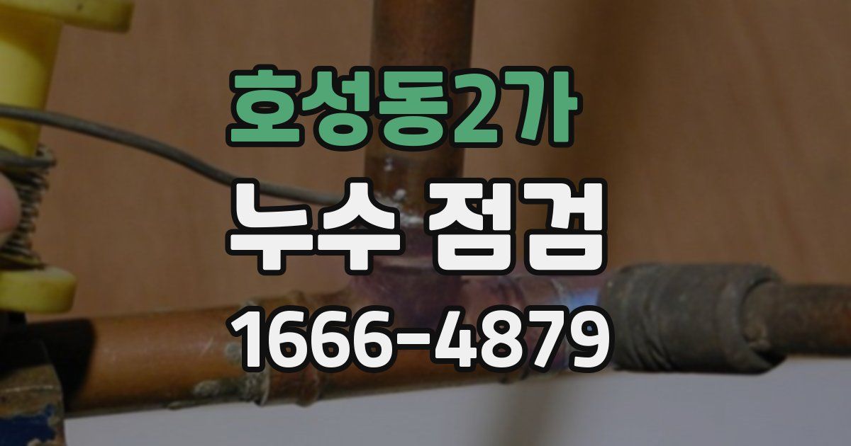 호성동2가 누수 점검