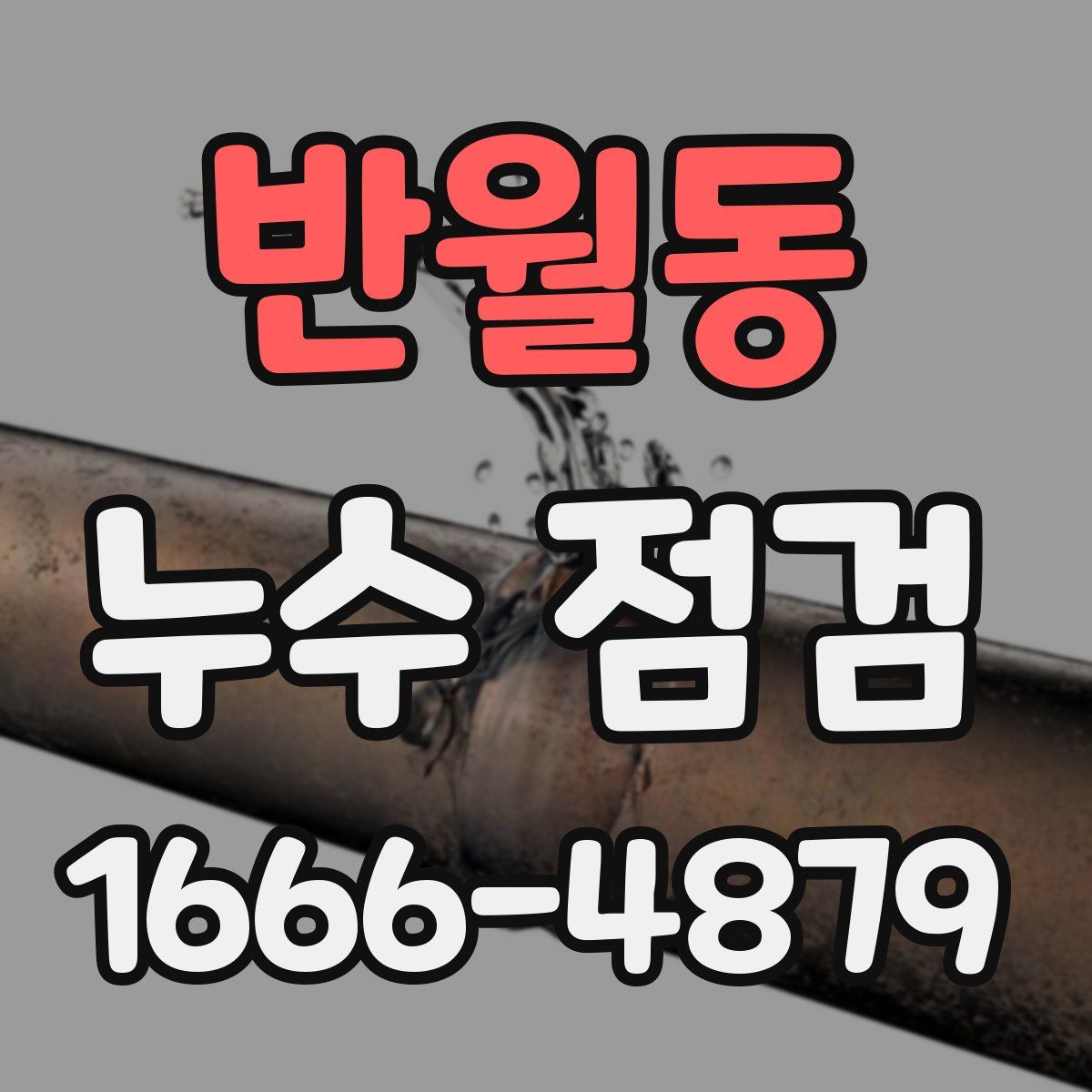반월동 누수 점검