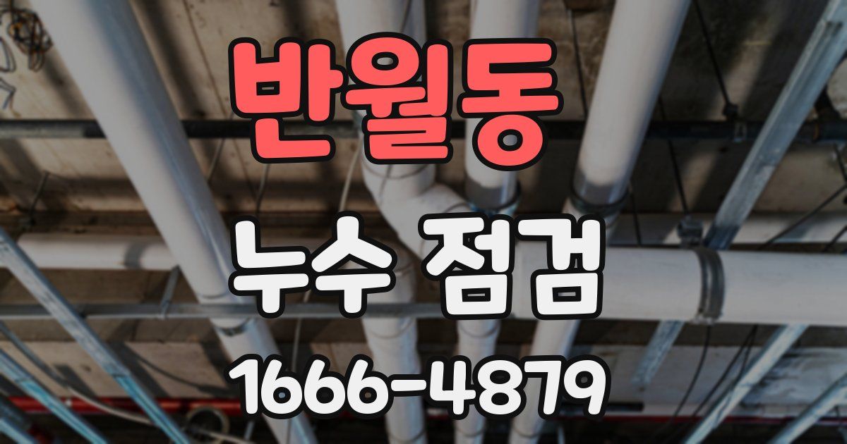 반월동 누수 점검