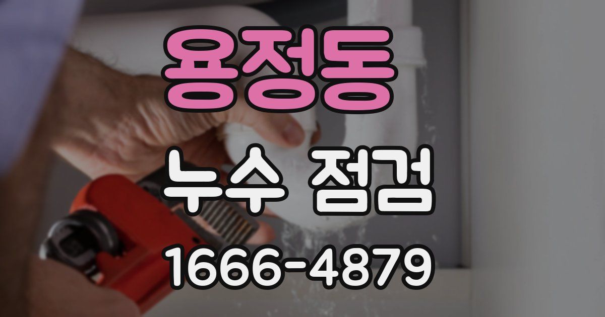 용정동 누수 점검