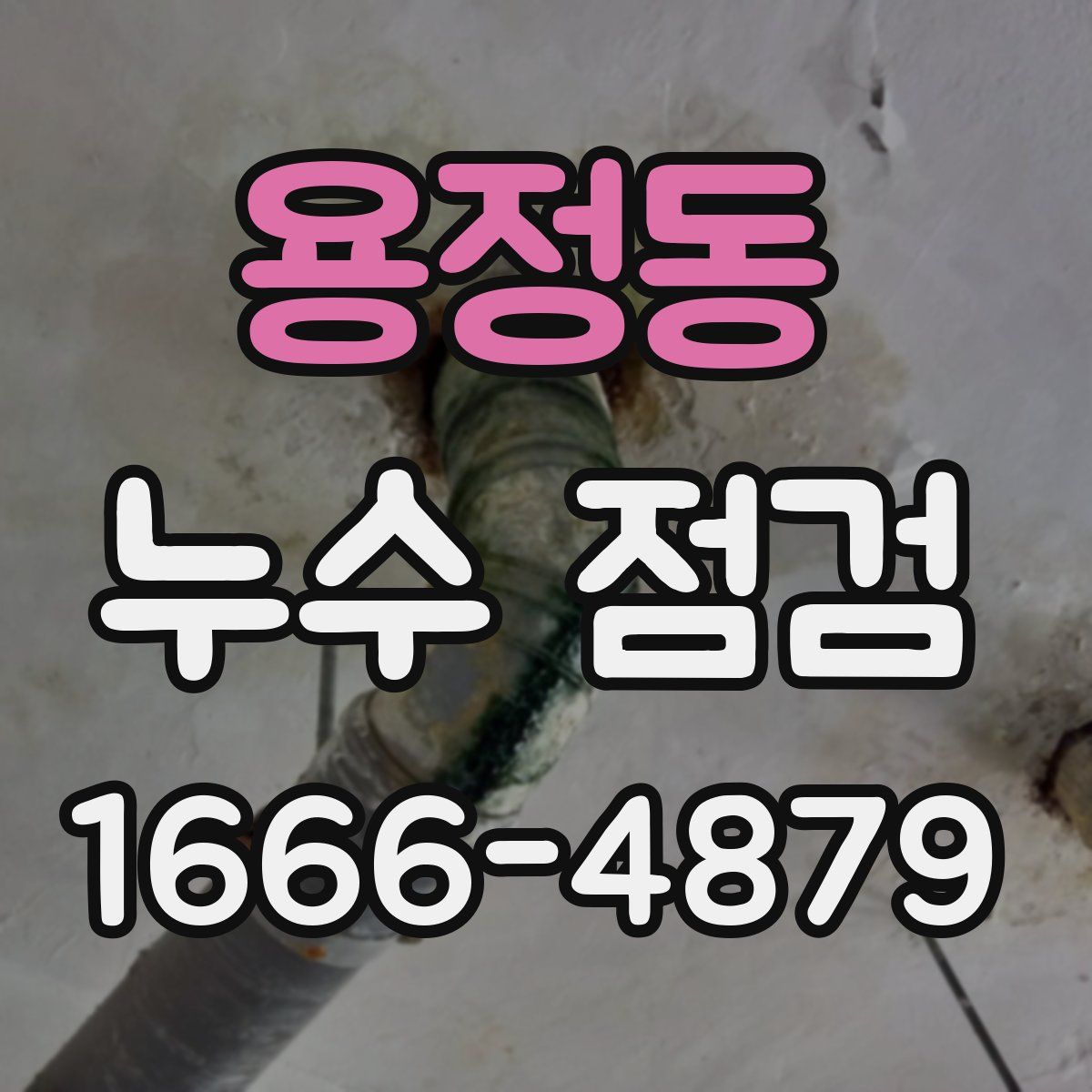 용정동 누수 점검