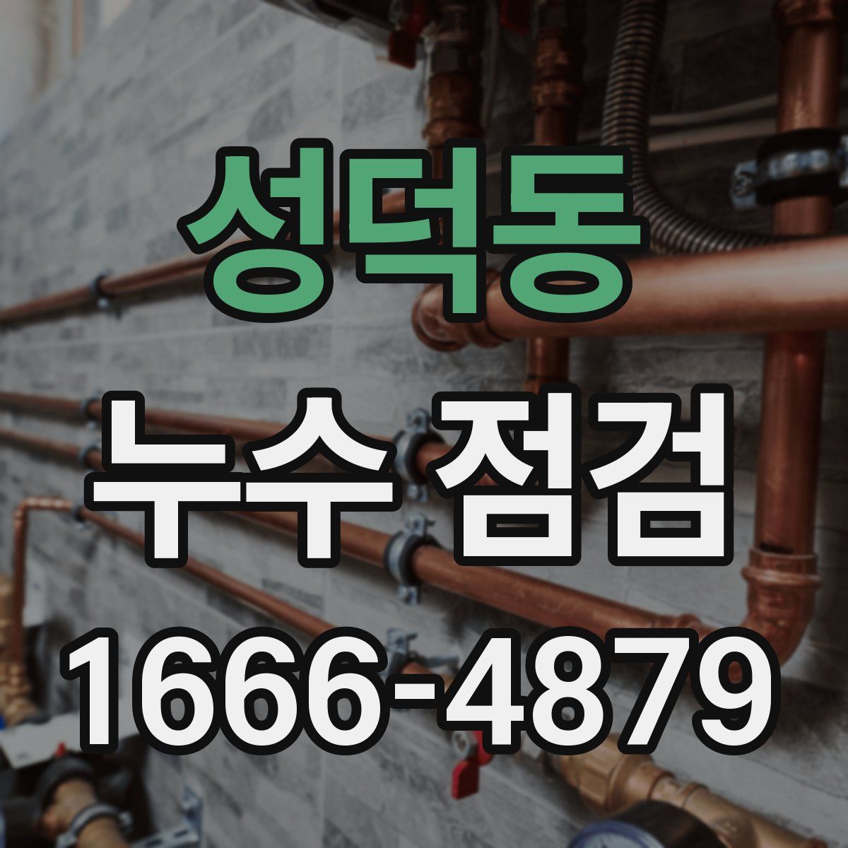 성덕동 누수 점검
