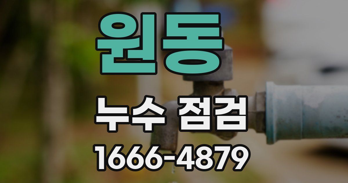 원동 누수 점검