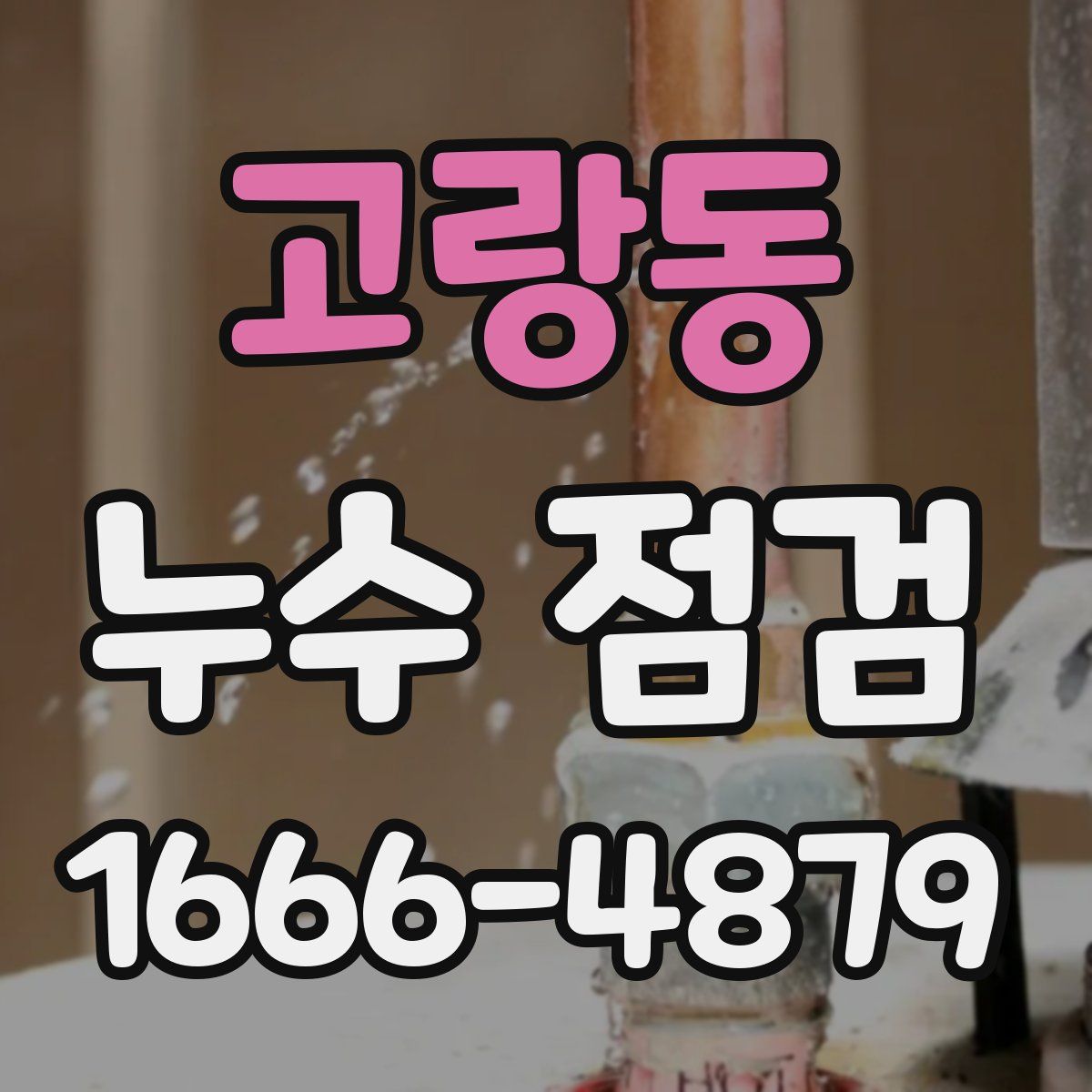 고랑동 누수 점검