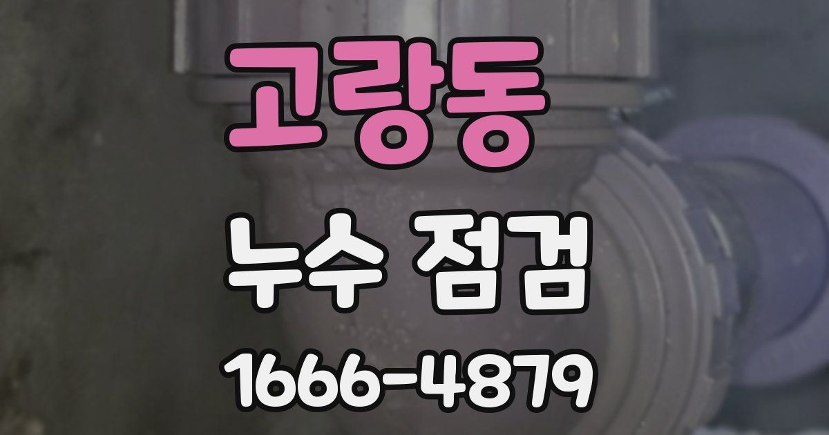 고랑동 누수 점검