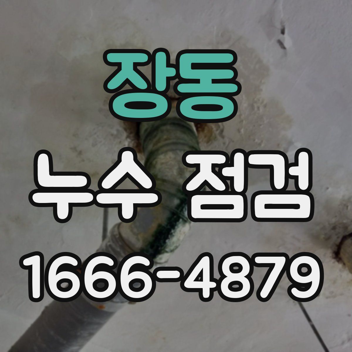 장동 누수 점검