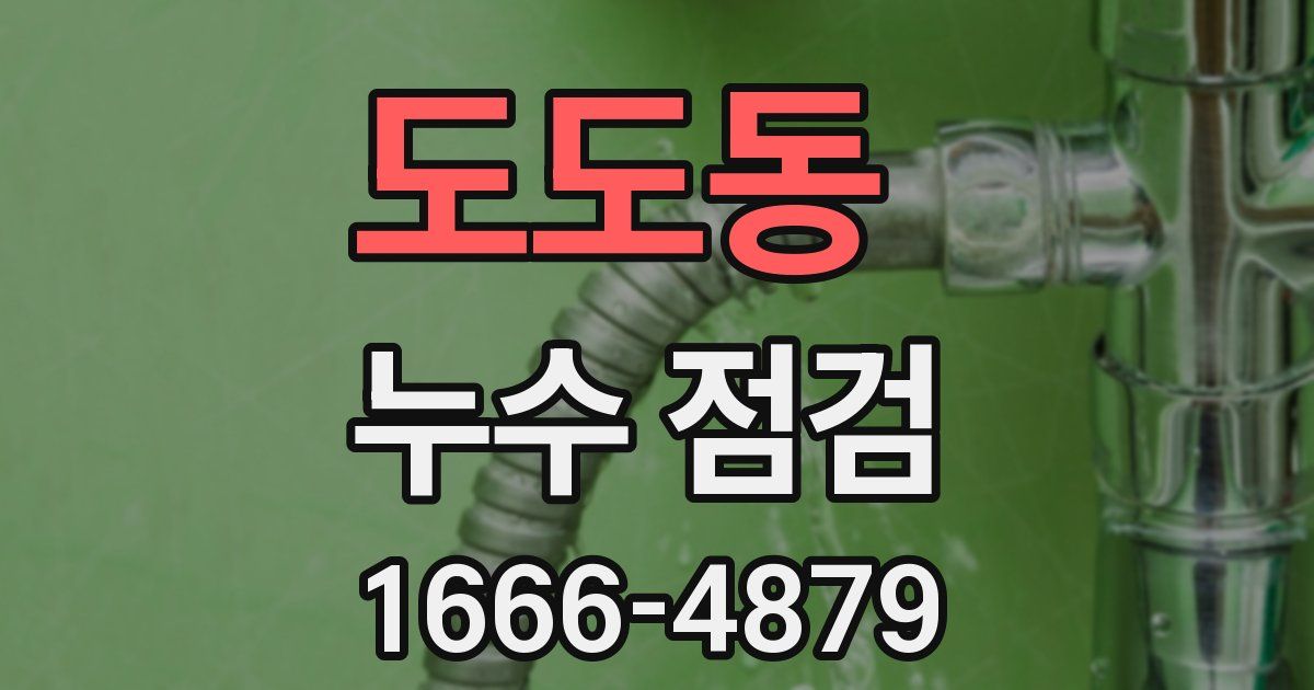 도도동 누수 점검