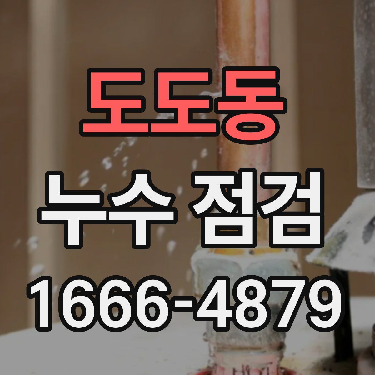 도도동 누수 점검
