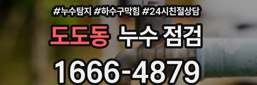 도도동 누수 점검
