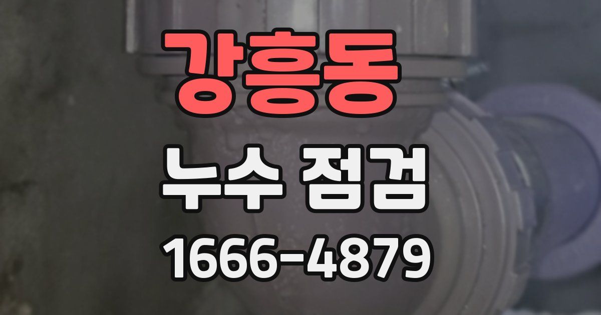 강흥동 누수 점검