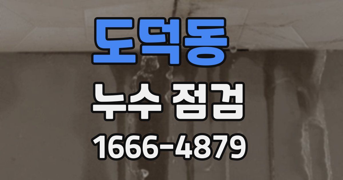 도덕동 누수 점검