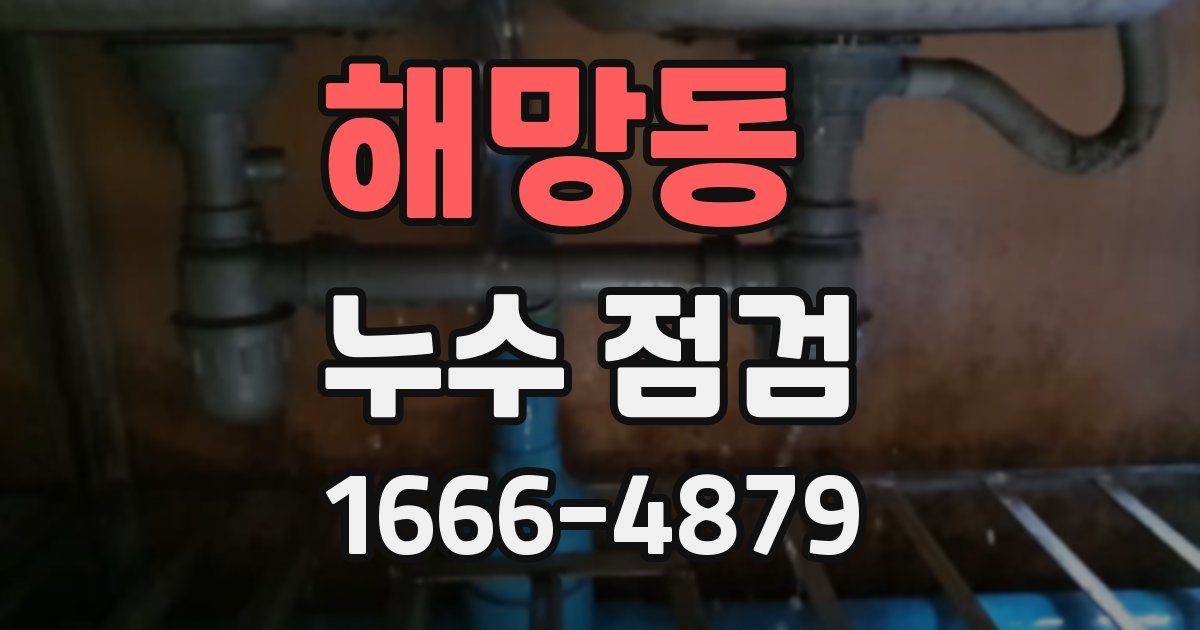 해망동 누수 점검