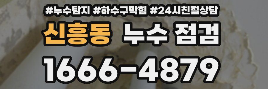 신흥동 누수 점검