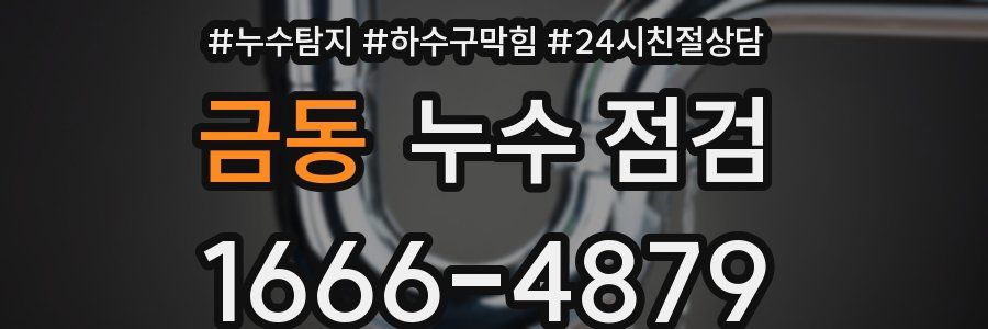 금동 누수 점검