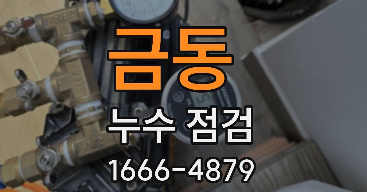금동 누수 점검