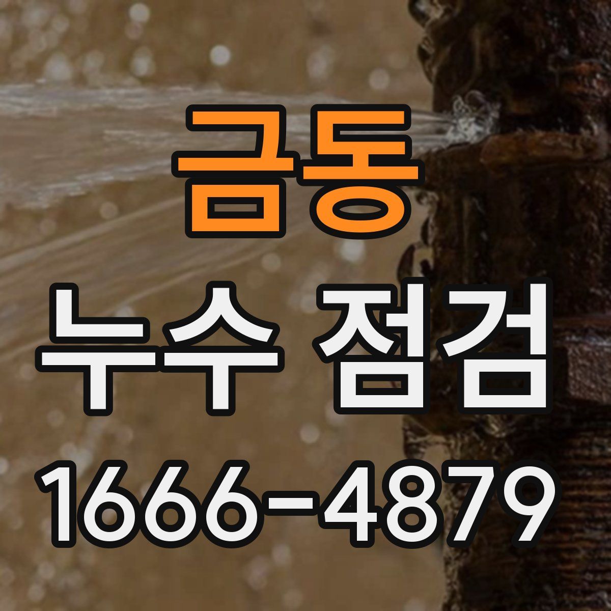금동 누수 점검