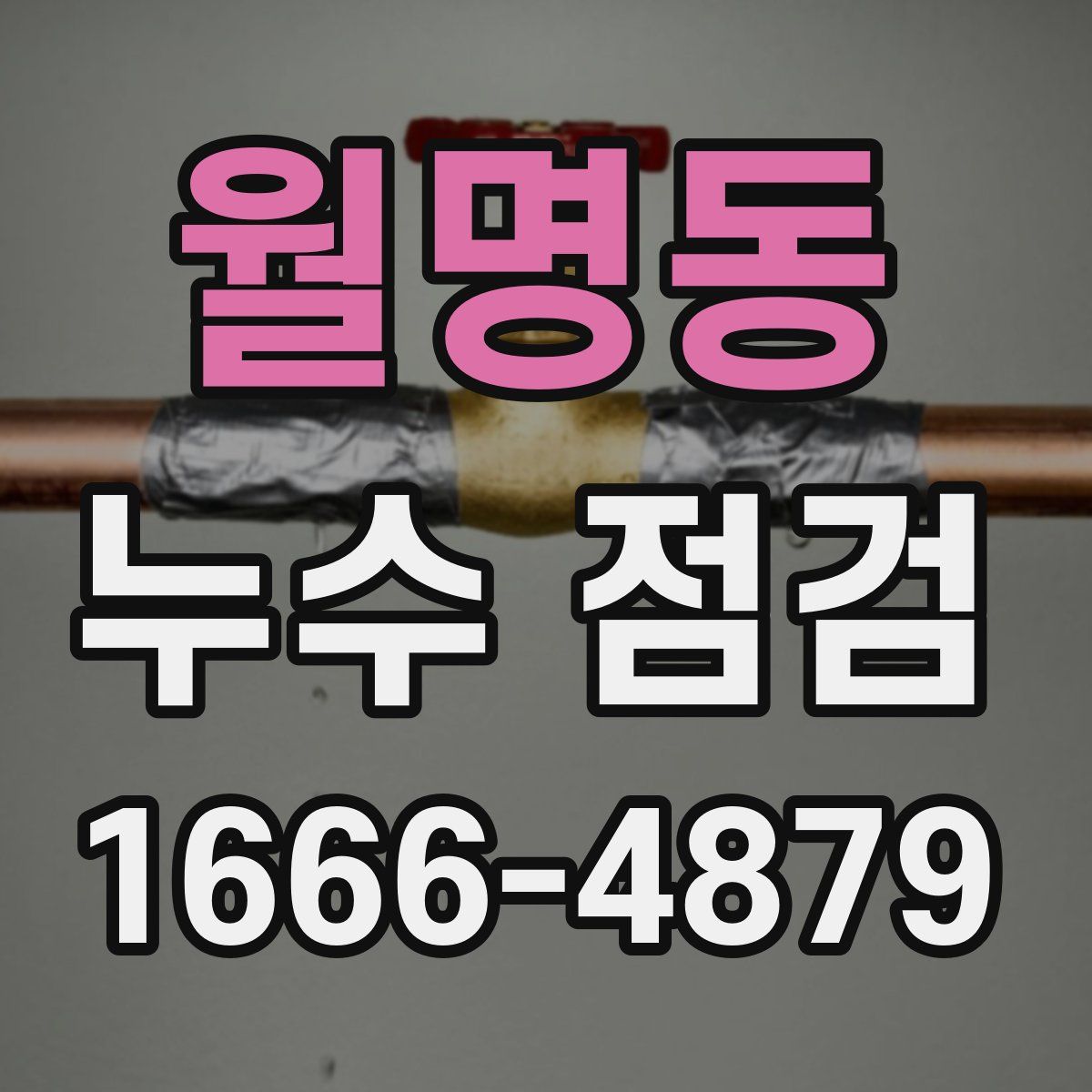 월명동 누수 점검