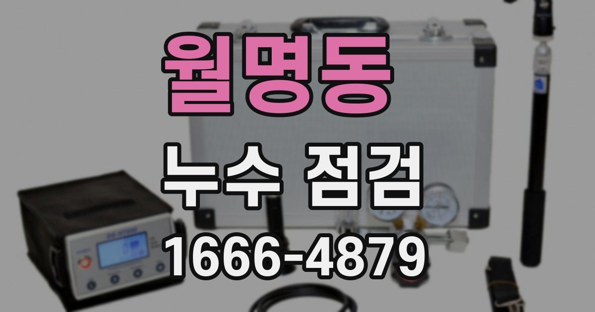 월명동 누수 점검