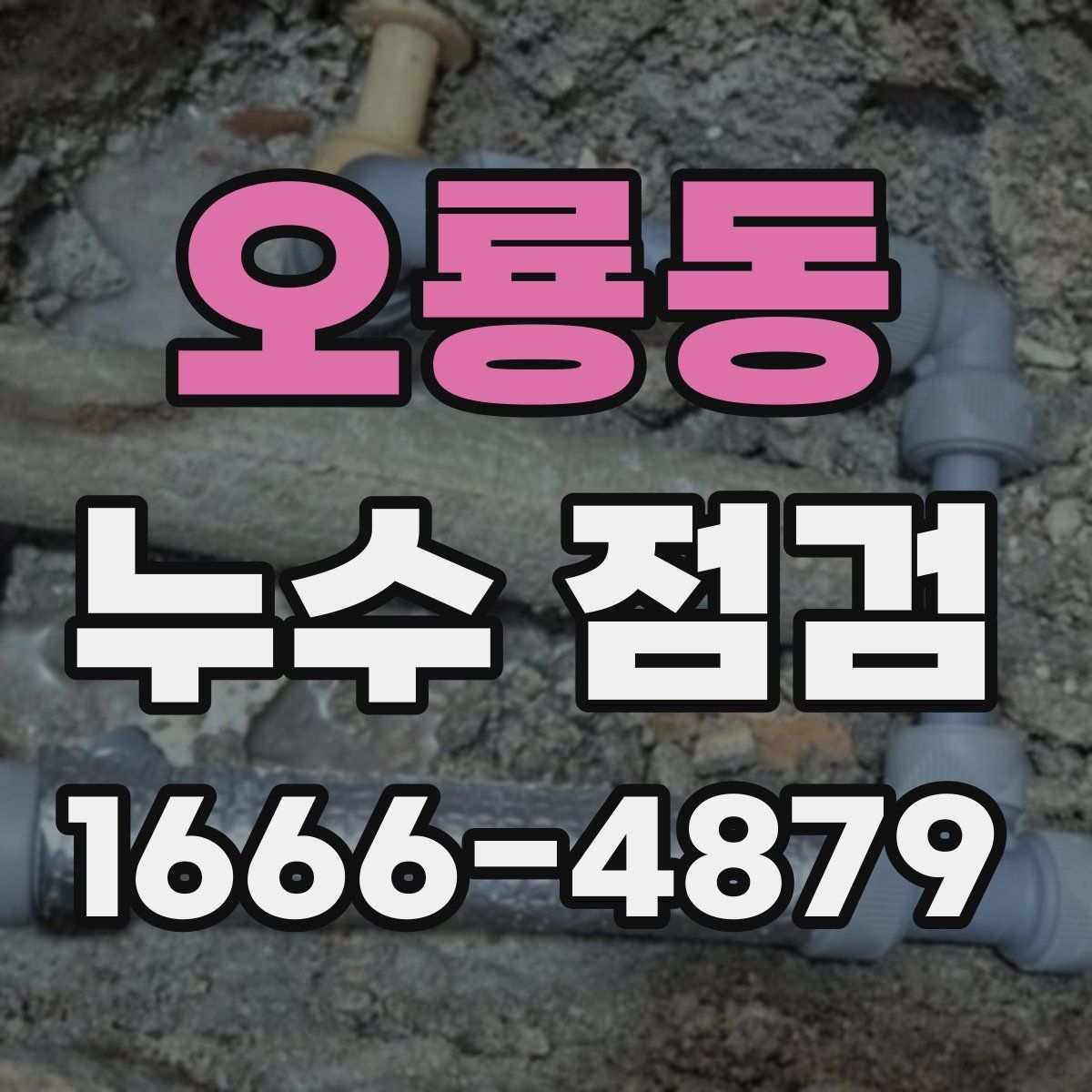오룡동 누수 점검