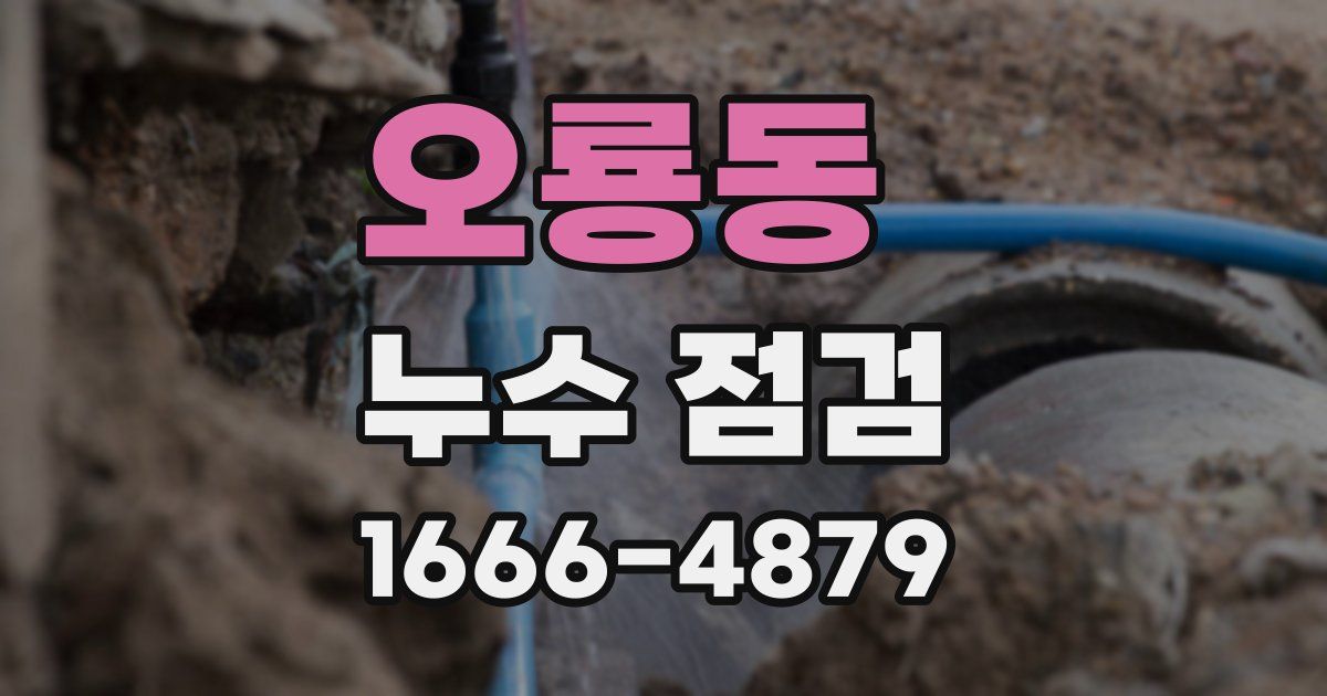 오룡동 누수 점검