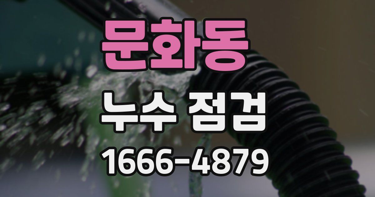 문화동 누수 점검