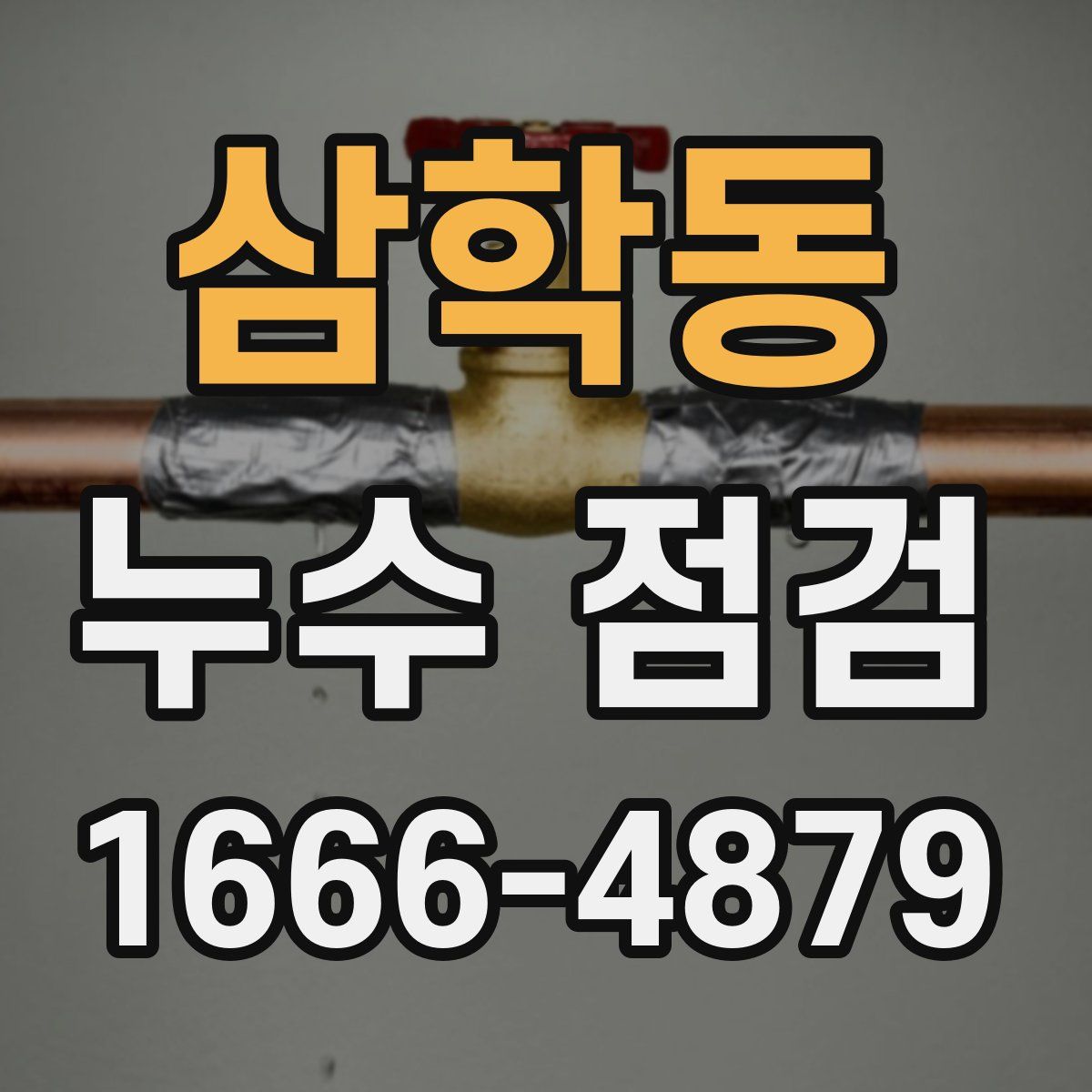 삼학동 누수 점검