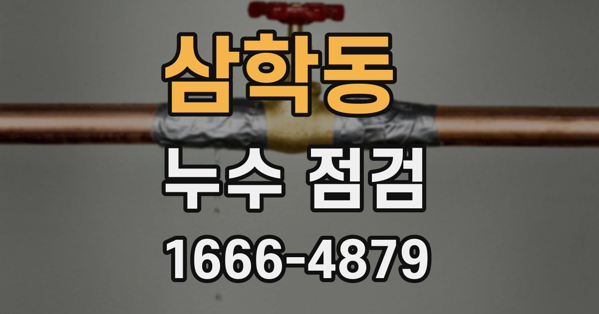 삼학동 누수 점검