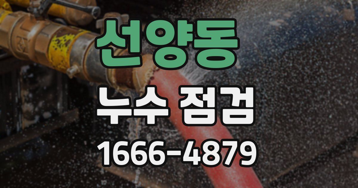 선양동 누수 점검