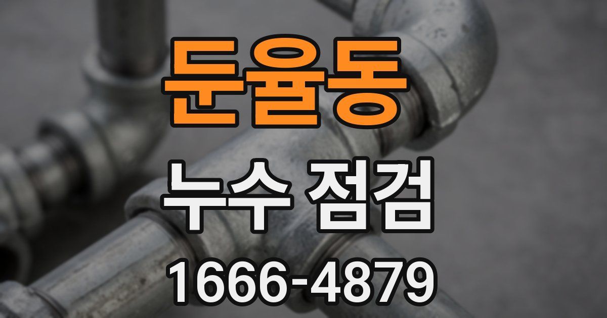 둔율동 누수 점검