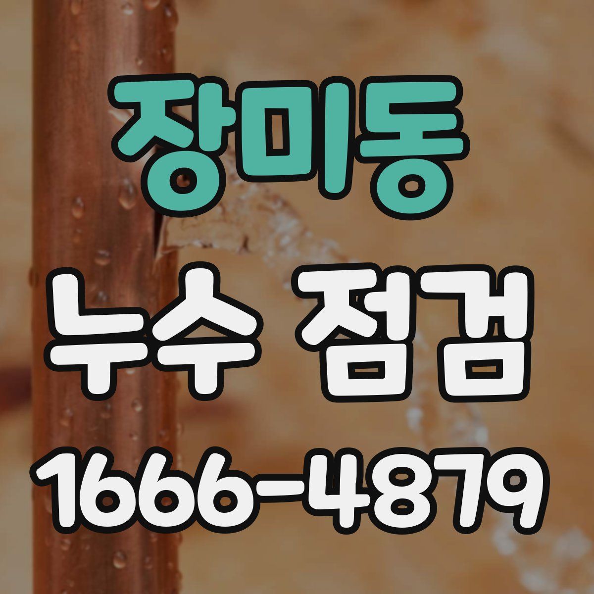 장미동 누수 점검