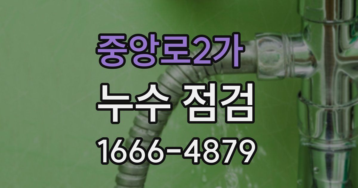 중앙로2가 누수 점검