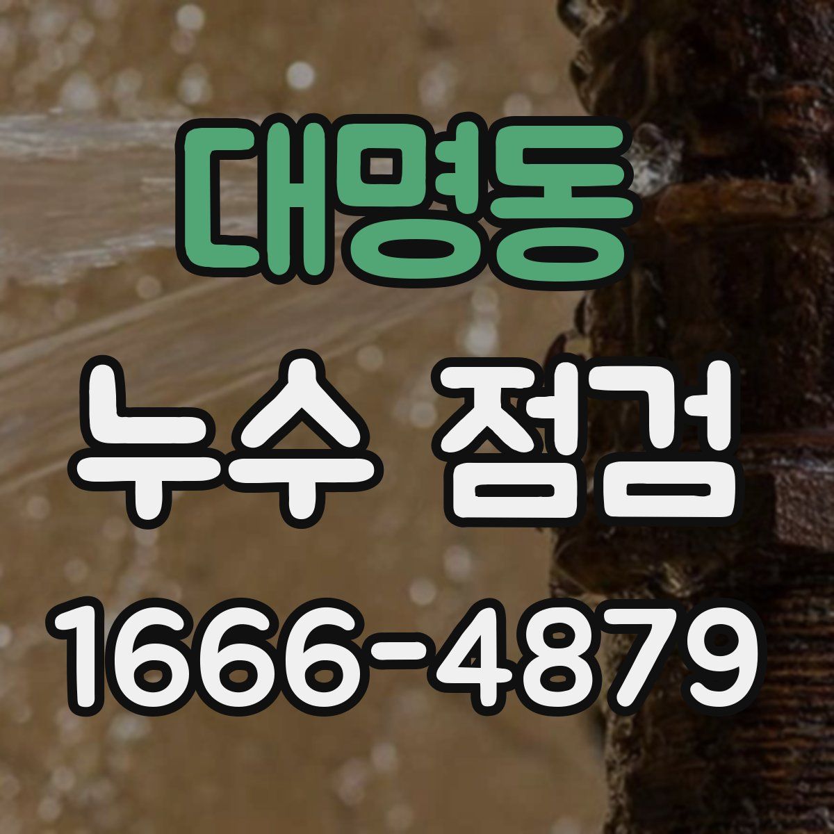 대명동 누수 점검