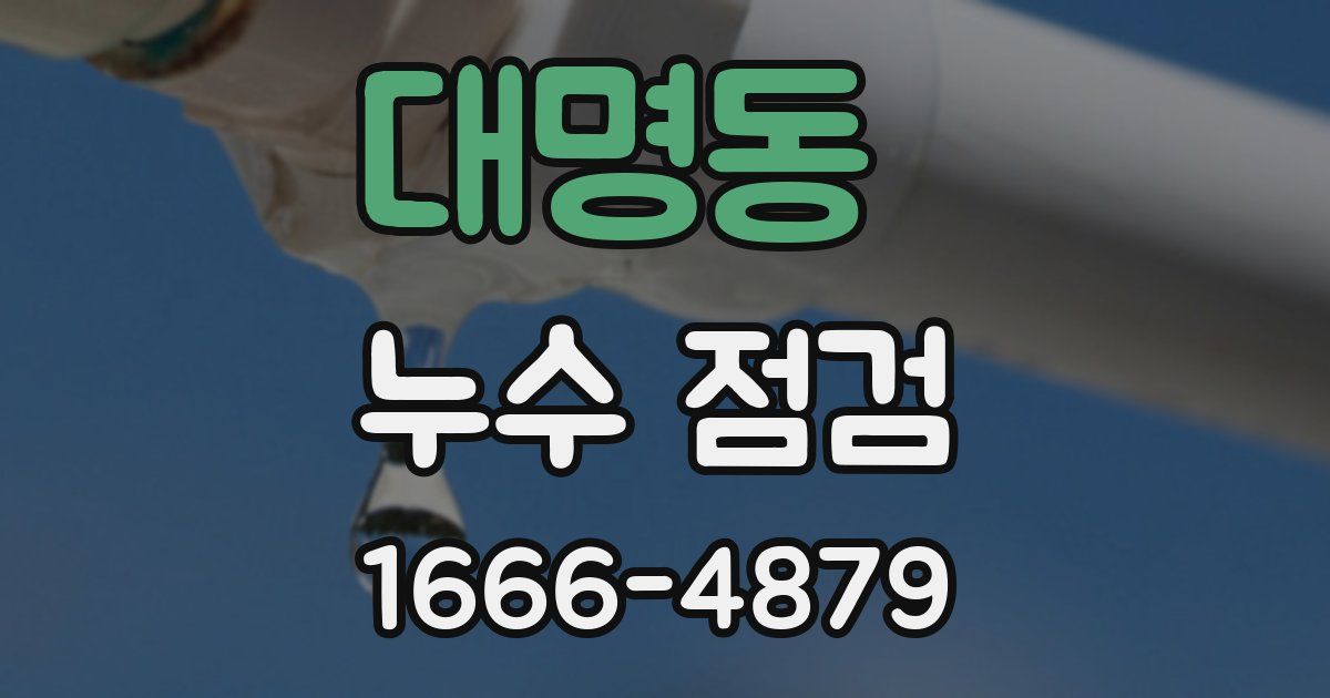 대명동 누수 점검