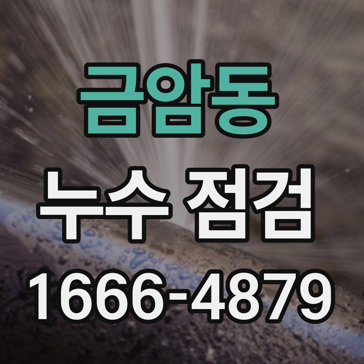 금암동 누수 점검