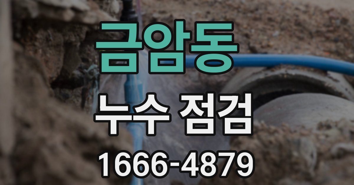 금암동 누수 점검