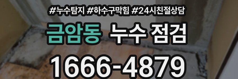 금암동 누수 점검