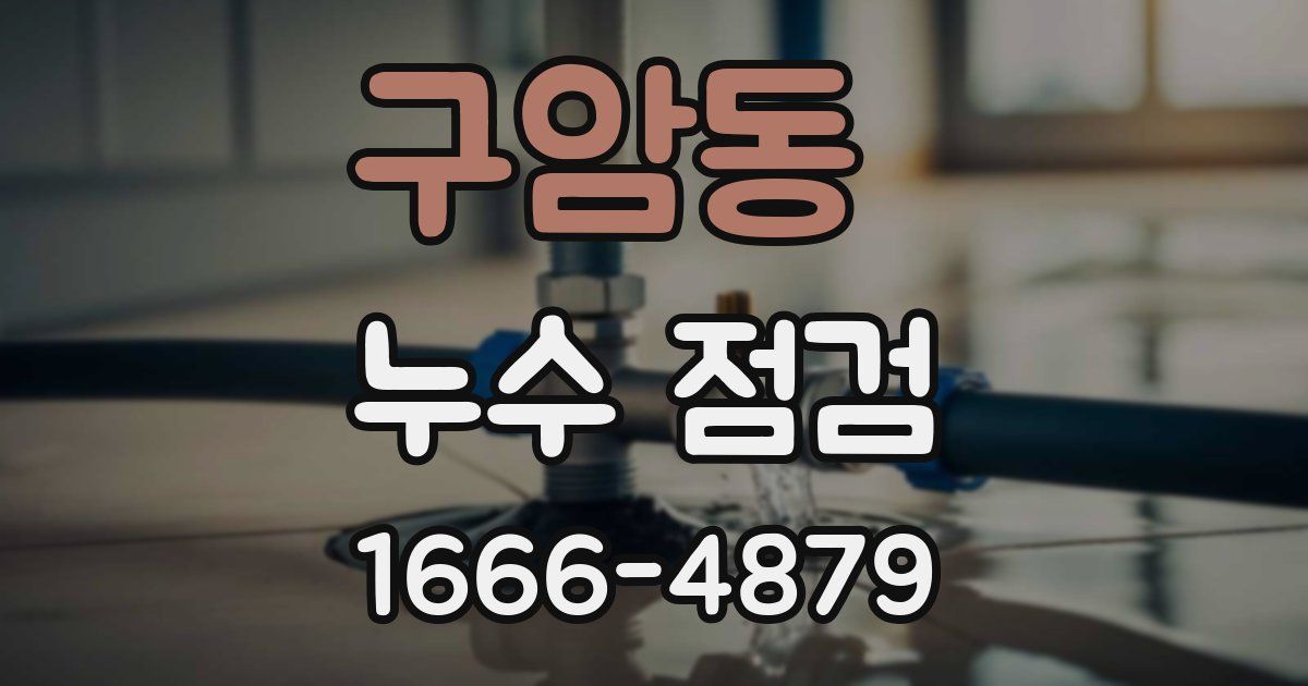 구암동 누수 점검