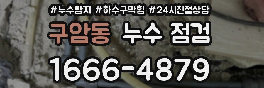 구암동 누수 점검