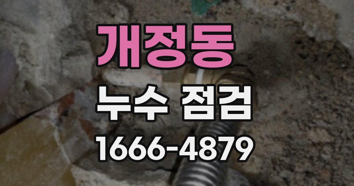 개정동 누수 점검