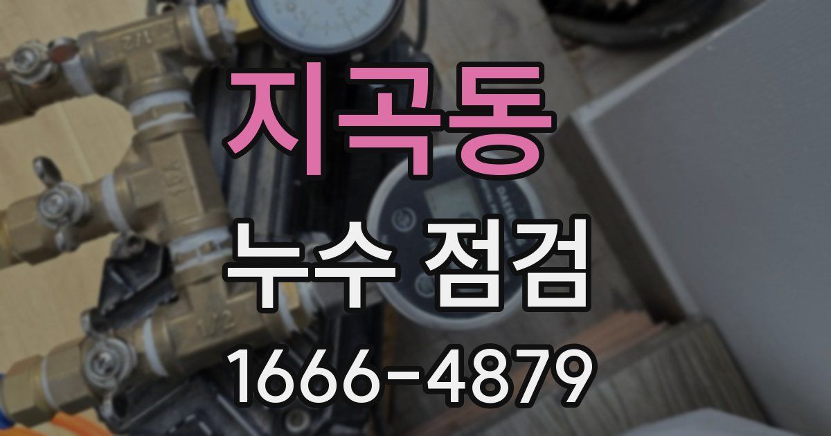 지곡동 누수 점검