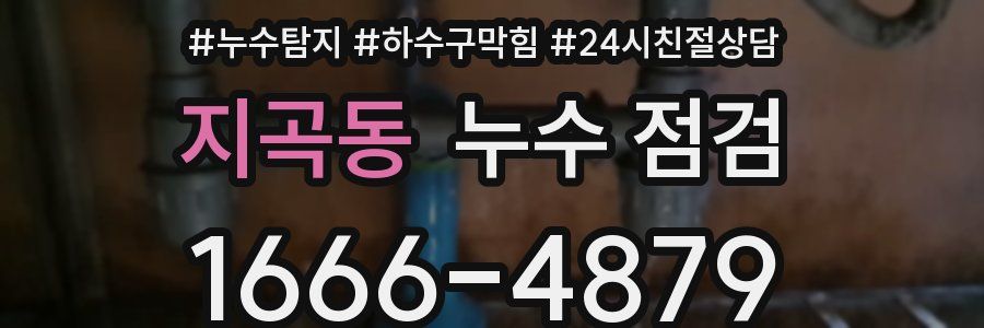 지곡동 누수 점검