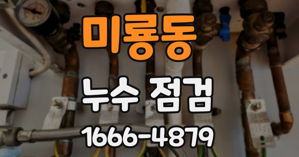 미룡동 누수 점검