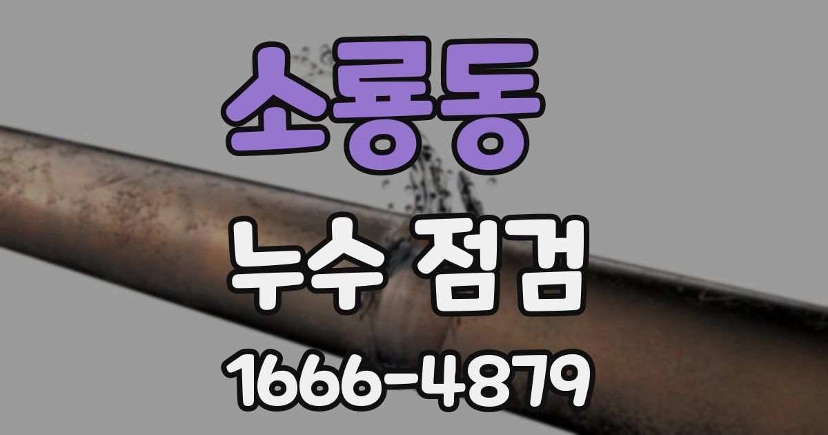 소룡동 누수 점검