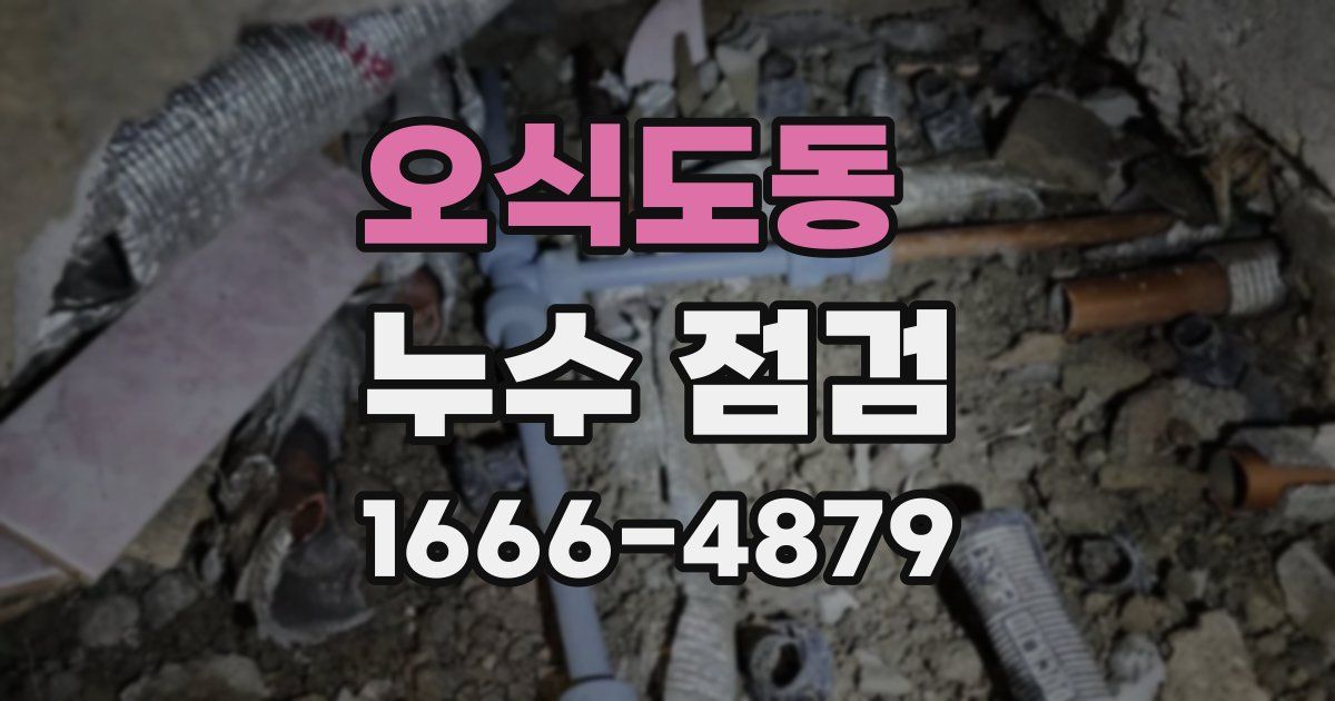 오식도동 누수 점검