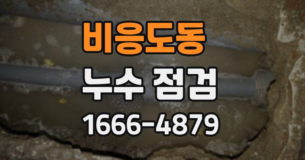 비응도동 누수 점검