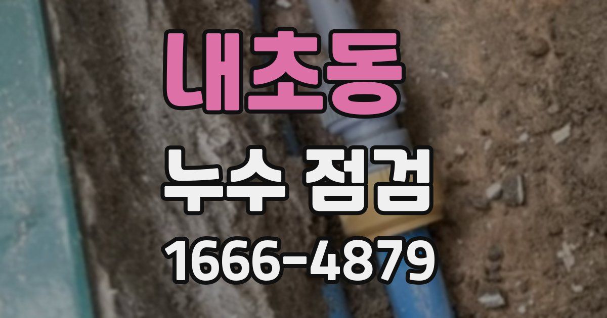 내초동 누수 점검