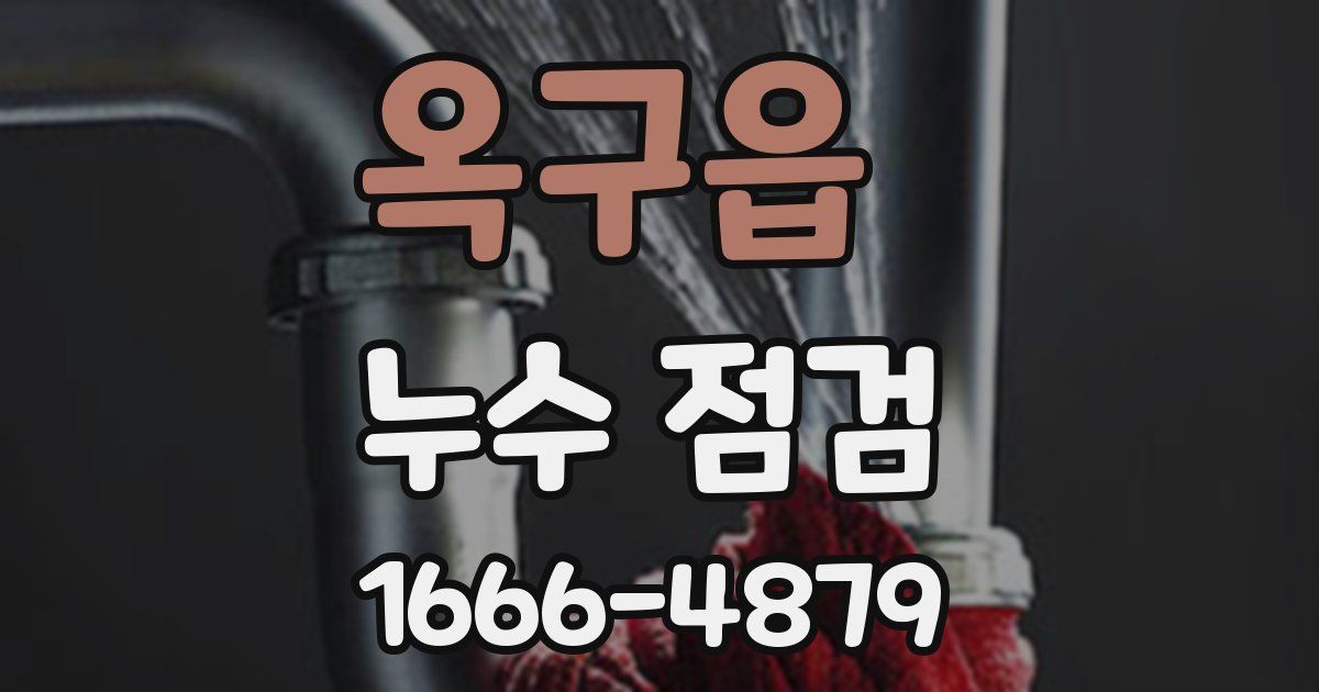 옥구읍 누수 점검
