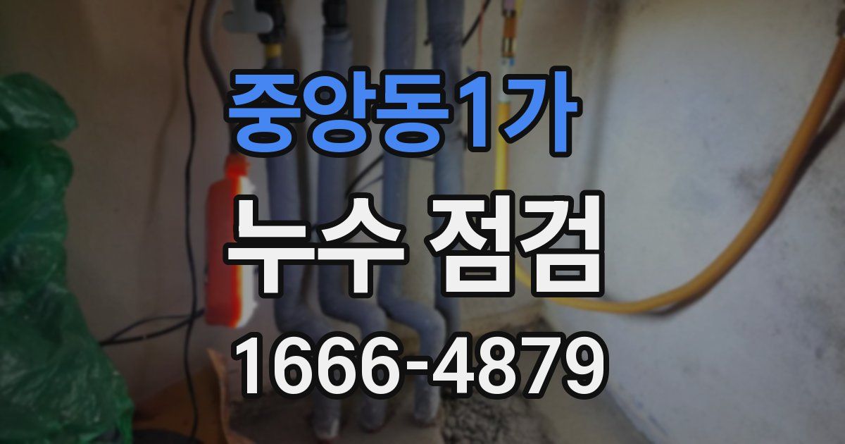 중앙동1가 누수 점검