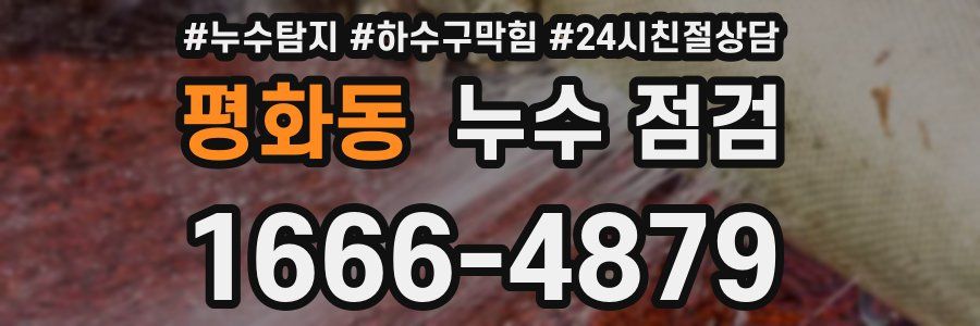 평화동 누수 점검